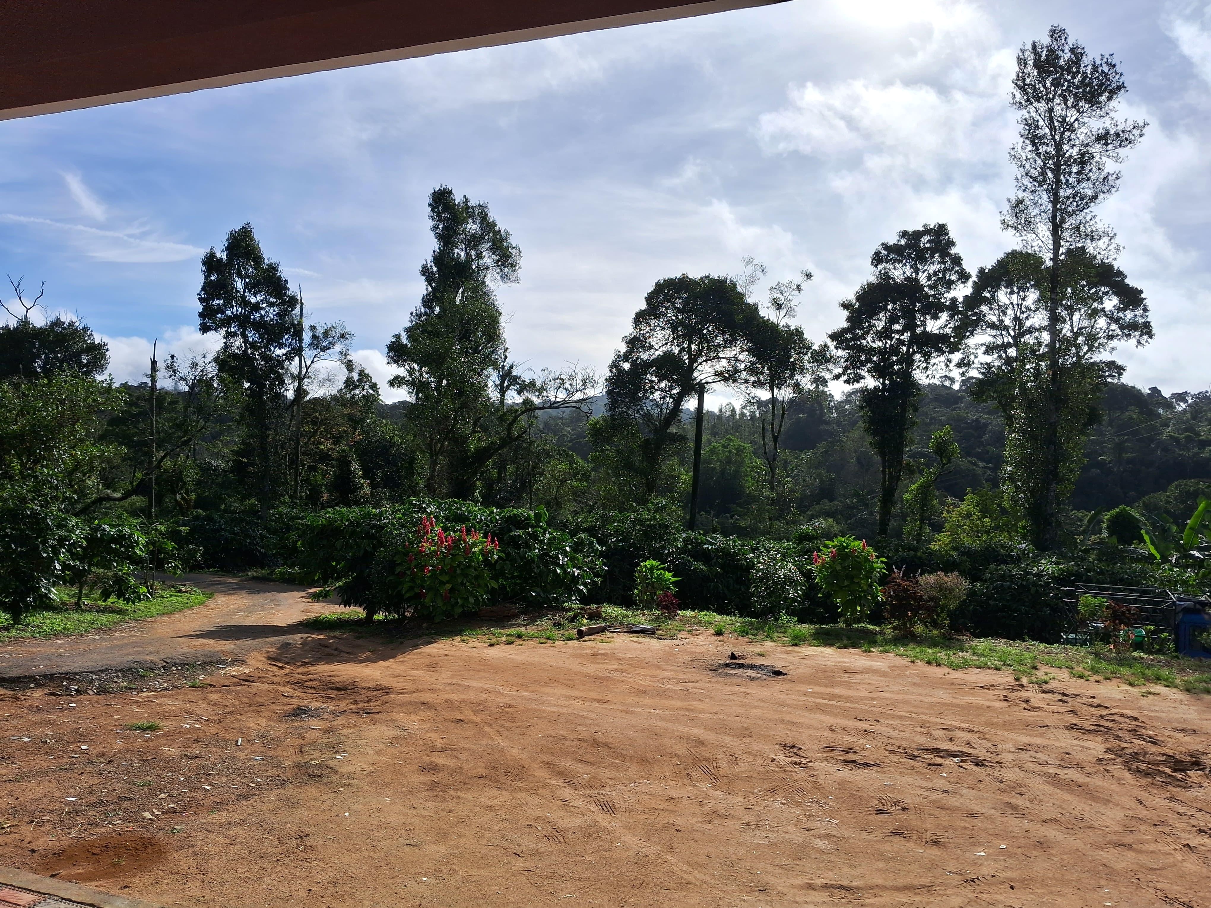 Entire plantation bungalow exterior